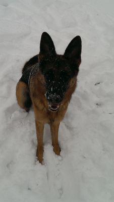 faley_jessica's profile picture. 