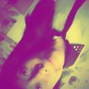 Andy Morrison - @beast_morrison - Twitter