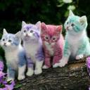 Derrick Mak - @derrickmak8803 - Twitter