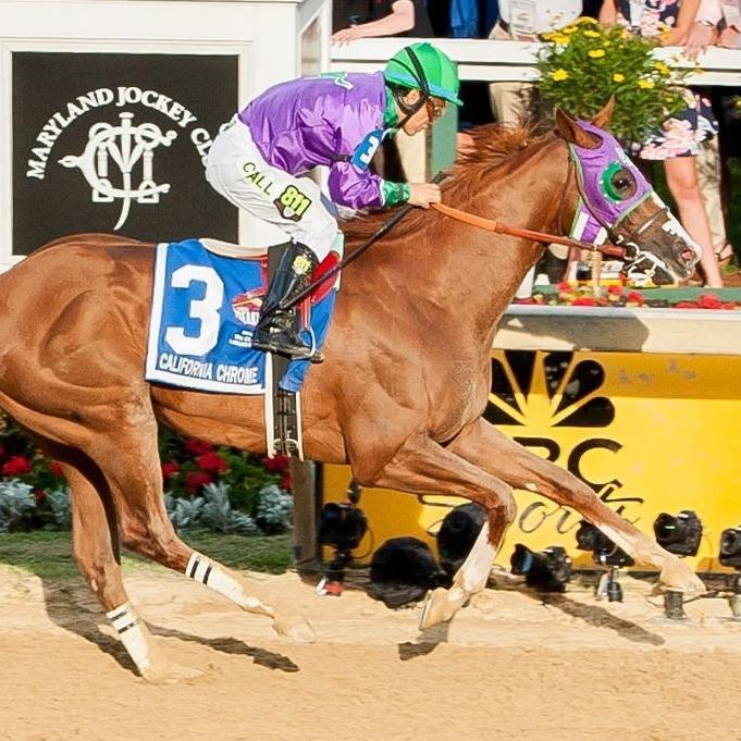 SantaAnitaLoser's profile picture. I don't use a form when I handicap so please exercise great caution if you play any of my picks! I only place small action bets for fun.