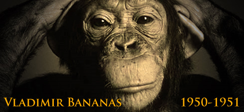 vladimirbananas's profile picture. He went into space for the motherland.  And then he died.