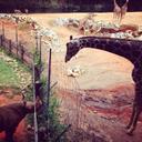 Cassandra Teal - @CassandraTeal - Twitter