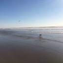 Hiroki Kato - @kato64072811 - Twitter