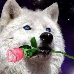 Mary46289544's profile picture. 