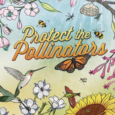 Protect The Pollinators Tour

#ProtectPollinators
#GiveBeesAChance
#SaveTheBees