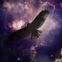 _joao48's profile picture. 