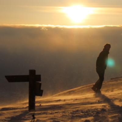 aishiguro's profile picture. 