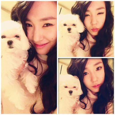 xostephney's profile picture. Tiffany Hwang ㅡ 황미영 parody ©1989 | SMOFCㅡΔNUFAMSㅡC24SQㅡARMYSableng