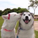 Reanna Rose Telles - @ReannaTelles - Twitter