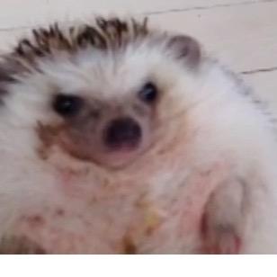 youngjoc720's profile picture. GG