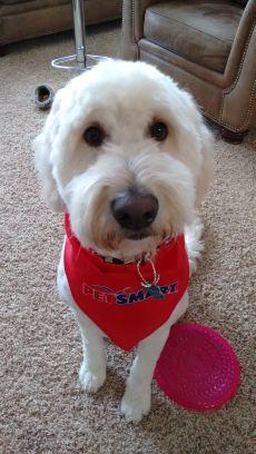 cbriggs620's profile picture. 