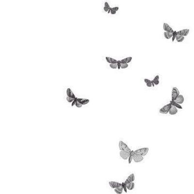 allinmyhead23's profile picture. 