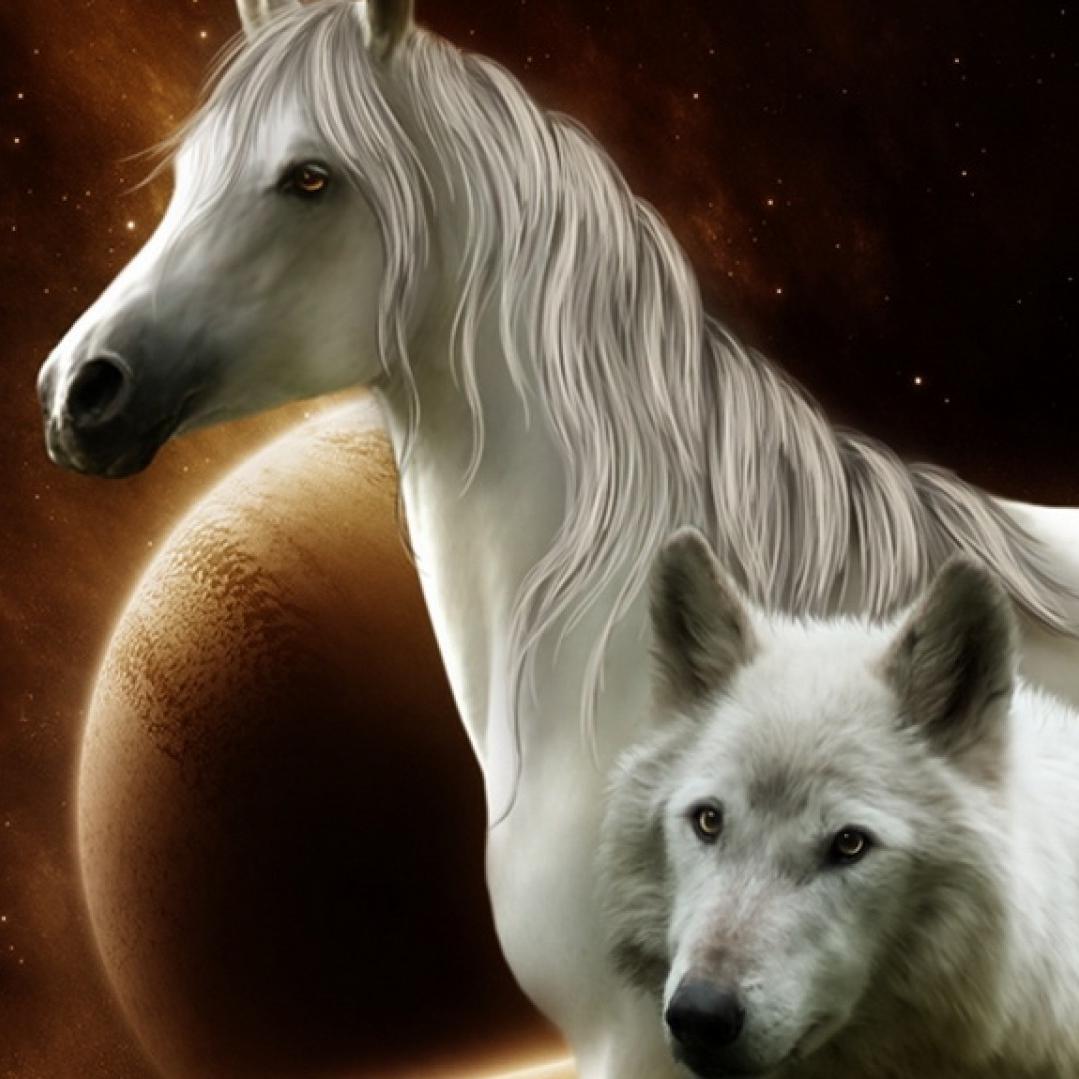 DJ_Texty's profile picture. 