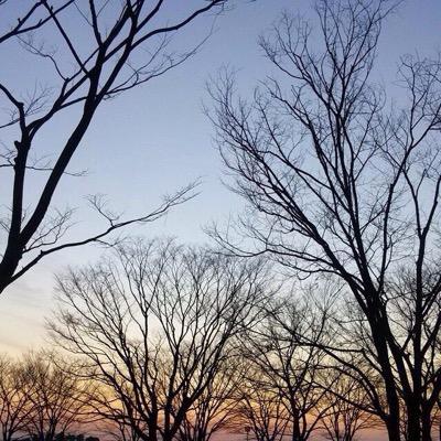 ○ある2人の共同垢。○誰でも絡んでちょ！ ○【フォロバの方は致しておりません。 】