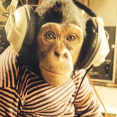 cheetahtank's profile picture. poet-whitewater fanatic-traveler-human-educator-appalachian