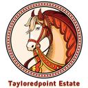 Tayloredpoint Equine (@tayloredpoint) Twitter