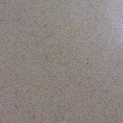 lovenhkbbc's profile picture. 墙里秋千墙外道，墙外行人，墙里佳人笑。笑渐不闻声渐悄，多情却被无情恼。-苏轼《蝶恋花·春景》