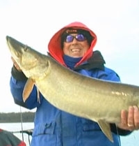 Host and Creator of the Midwest's #1 Televison Fishing show Waters & Woods