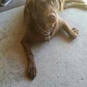 Jon LeClaire - @JonLeClaire - Twitter