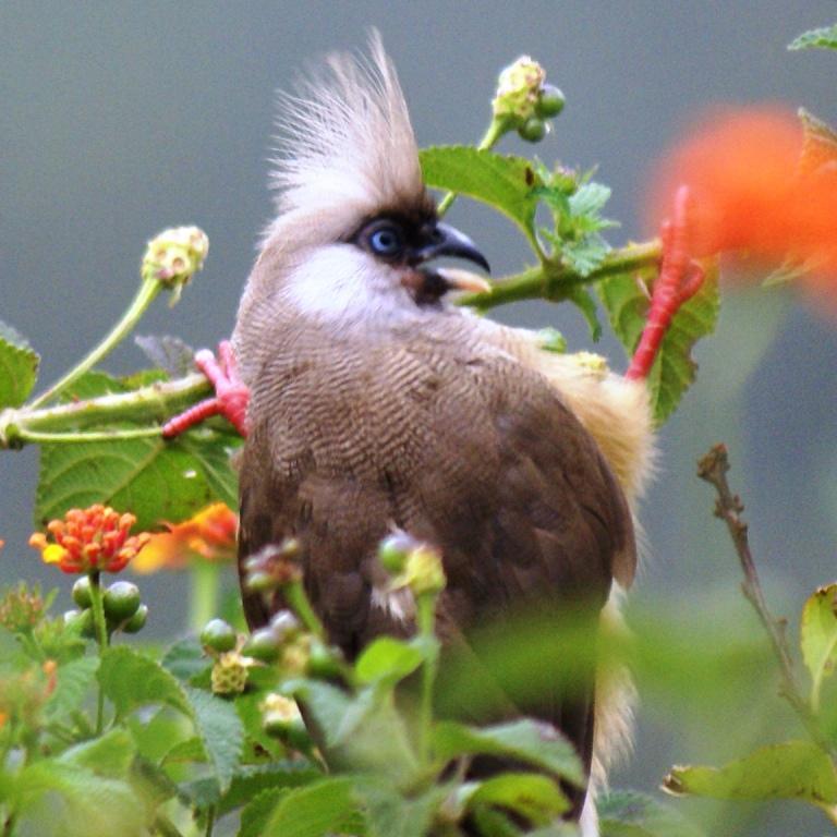 Eridanusさんのプロフィール画像