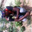 laurent ernest - @laurent_ernest - Twitter