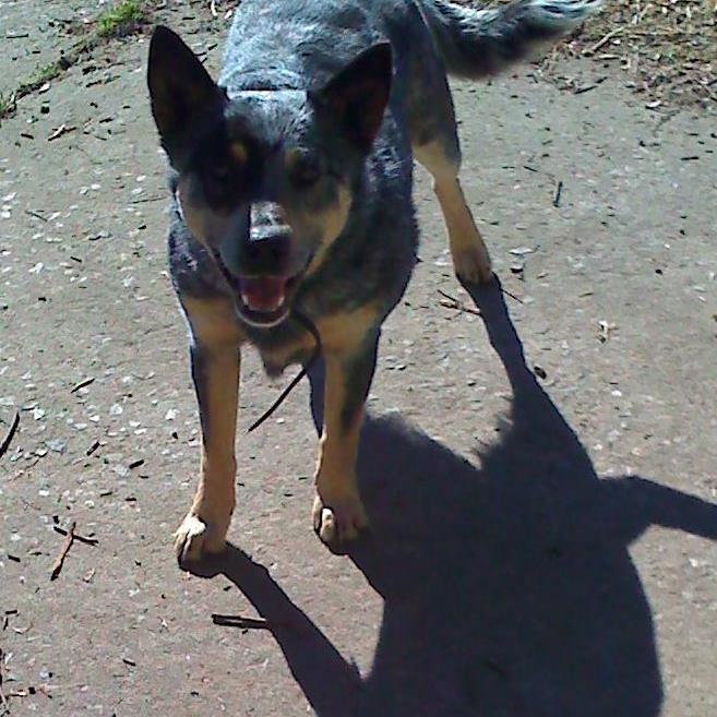 parsons1_daniel's profile picture. 