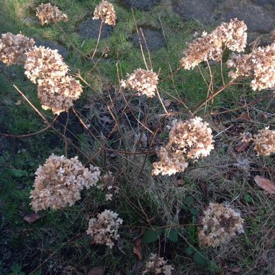 Sioxby's profile picture. 