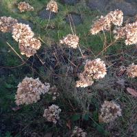 s (@sioxby) 's Twitter Profile