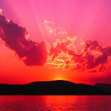 Sandyboss10's profile picture. 