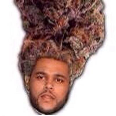 blaze it 420 nigga xo
