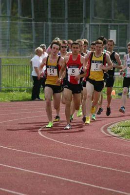 Middle distance runner. Love a good tactical race with a burn up.