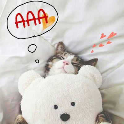 AAA 大好きです ♡*(ू•‧̫•ू⑅)♡⋆*ೃ:.✧