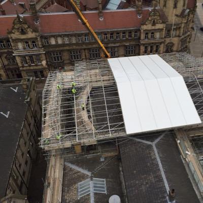 WinfieldTony's profile picture. 