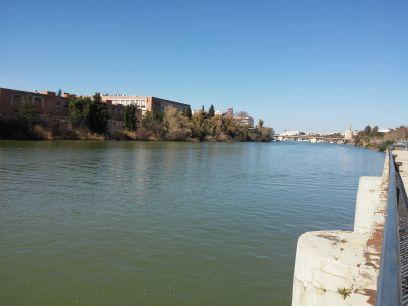 iesusmartin's profile picture. 