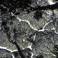 nskp's profile picture. 娘二人。海・ｼｭﾉｰｹﾘﾝｸﾞ・馬・動物•宇宙・音楽・映画・バレエ•武道•武術•自然•人•芝居•ムヒカ大統領・aiko（ファンクラブ会員）。アイコンはマレーシア・クラウン・シャイネス