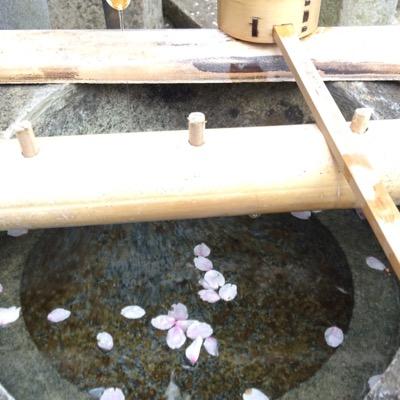 mastank87's profile picture. 