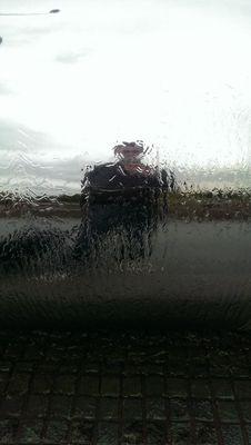 screentester's profile picture. Just an introvert searching for recognition through anonymity.