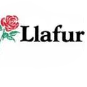 Plaid fwyaf Cymru : gyda'r nifer fwyaf o siaradwyr Cymraeg yn pleidleiso amdani.