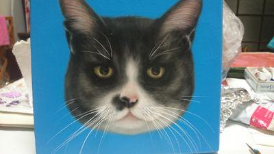 やさぐれ尼猫4匹にはさまれて絵を描いてます。
