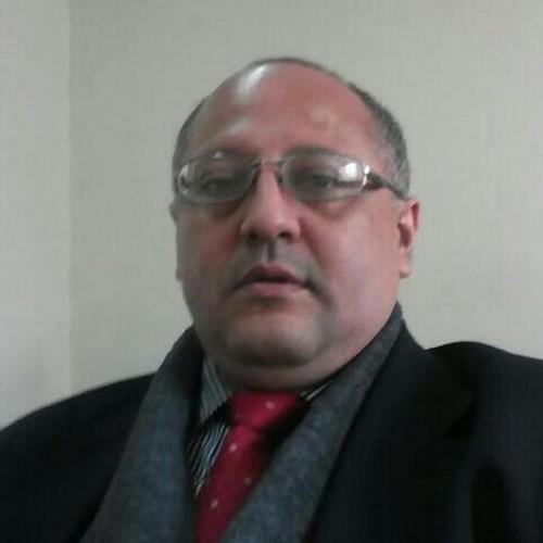 Asesor Empresarial SIG, R. Social, Desarrollo Org. Adm. Financiera, geren. TH, Dir. Proyectos, Recuperacion Cartera, Marketing