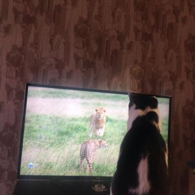 LvenaAng's profile picture. 