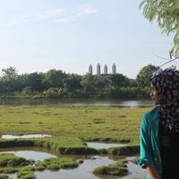 Dita Amerlin (@dithaamherlin) 's Twitter Profile