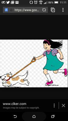 pawpatrol4u's profile picture. A local dog walker & runner - Brough-Elloughton-Welton-South Cave-North Ferrriby