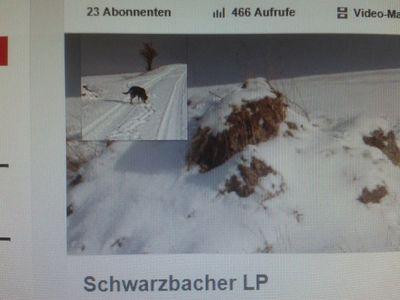 Bin Lets Player auf youtube mein name ist SchwarzbacherLP