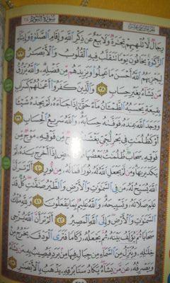 ‏‏‏‏اسمعوا حرف.س وتسبيح.طيو ر