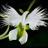 myright2say's profile image