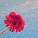 ** طـيـــفهم ** (@0125462) Twitter