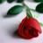 AsaWaw5575's profile image