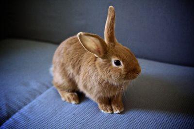 EgeTevlim1's profile picture. 