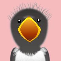 日々の雑感。仕事&個人でiOSアプリを作っています。3月からWEBデザインの勉強を始めました。大阪在住。